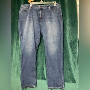 Women’s 24W Shaping Skinny Levi’s Jeans